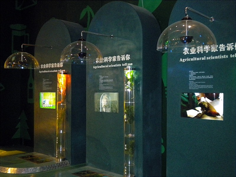 定向音響 定向音響